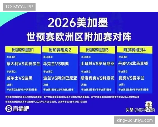 波黑能否在2026世界杯预选赛突围 欧洲区附加赛前景分析 波黑能否在2026世界杯预选赛突围 欧洲区附加赛前景分析