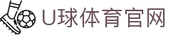 U球体育APP - 世界杯预测专区｜高能比赛提前拆解